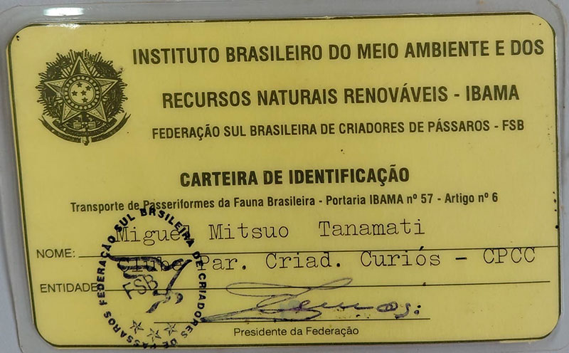 carteirinha-4.jpg (92 KB)