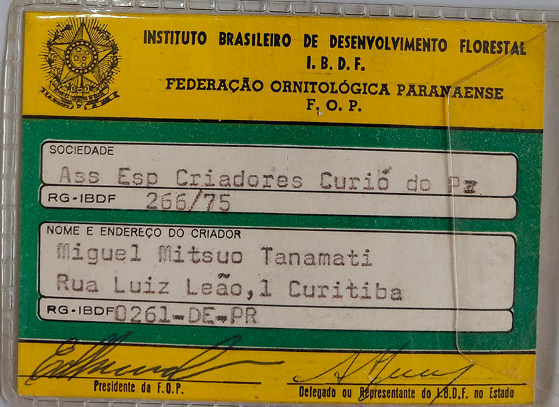 carteirinha-5.jpg (135 KB)