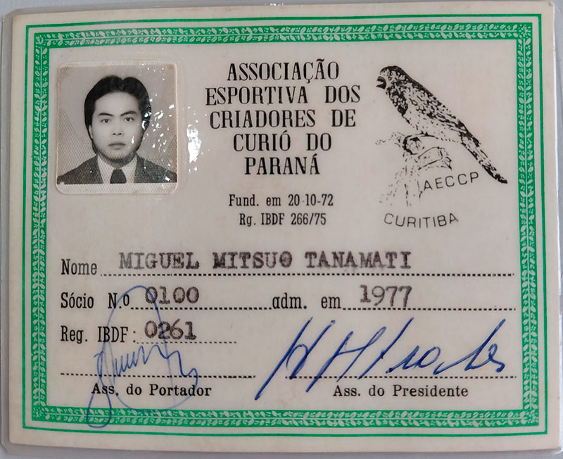 carteirinha-6.jpg (131 KB)
