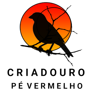 logo.png (39 KB)